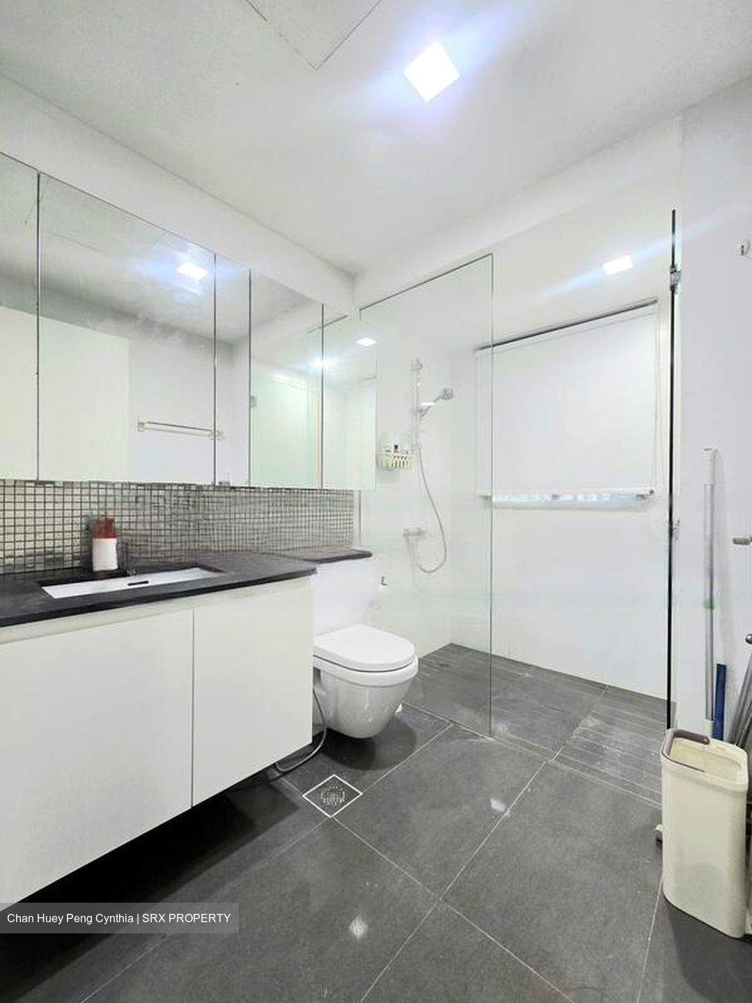 The Minton (D19), Condominium #447927651